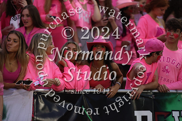 RDG_fans_01