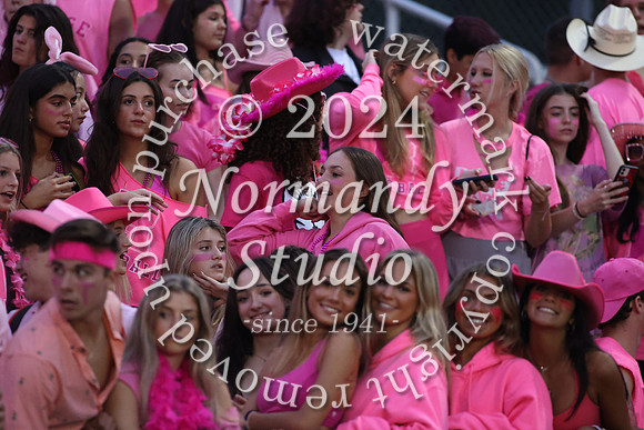 RDG_fans_05