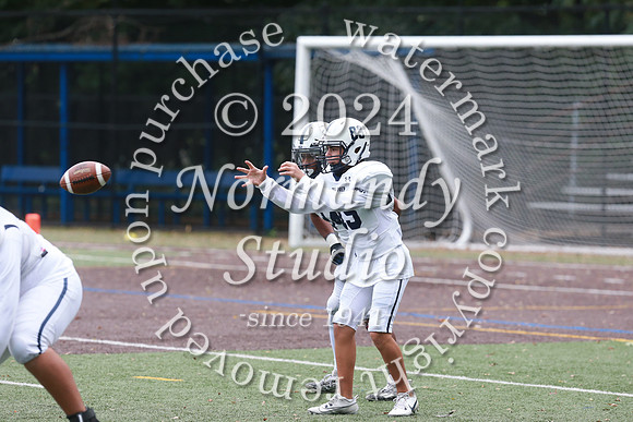 SHP_fb-j_33