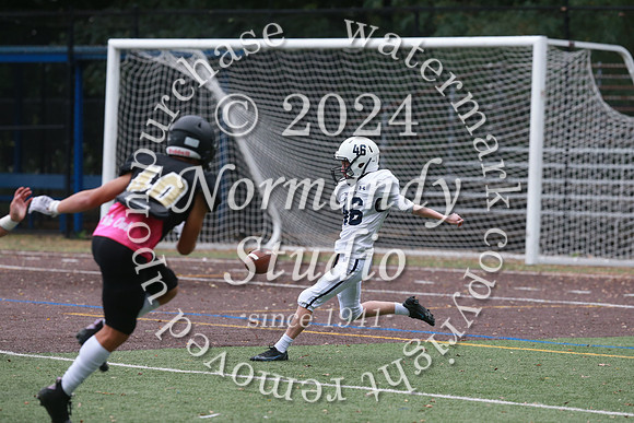 SHP_fb-j_46