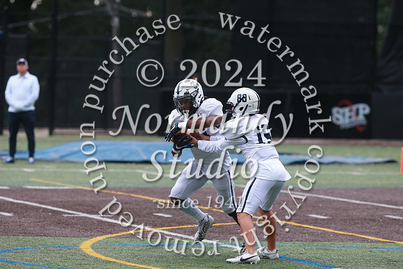 SHP_fb-j_48