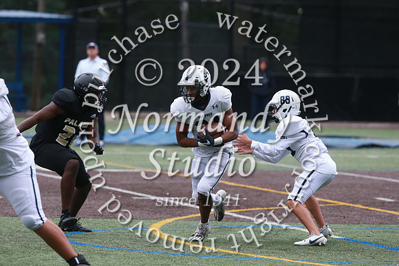 SHP_fb-j_50