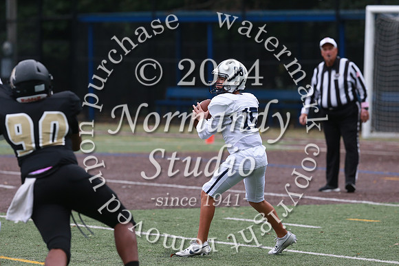 SHP_fb-j_53