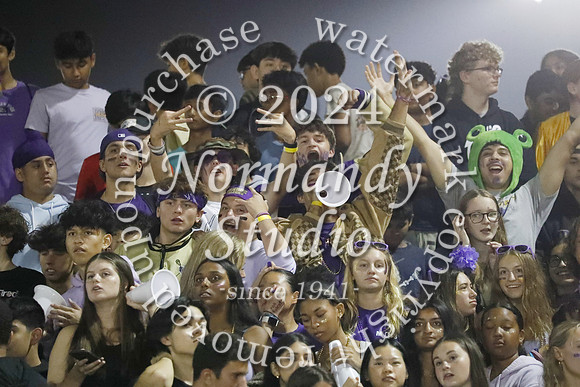 MON_fans_09