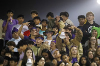 MON_fans_11