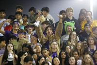 MON_fans_12