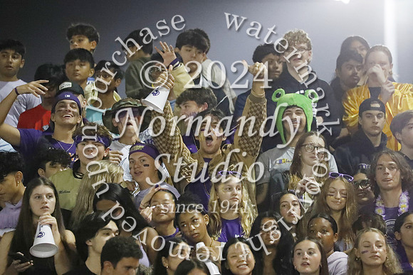 MON_fans_12