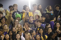 MON_fans_15