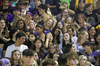 MON_fans_17