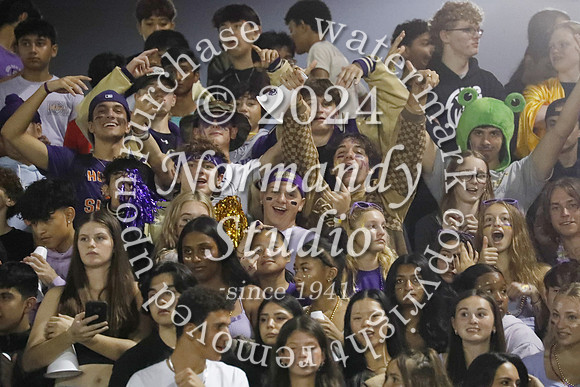MON_fans_14