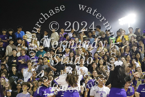 MON_fans_18
