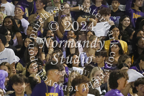 MON_fans_24