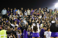 MON_fans_19