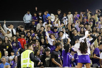 MON_fans_20