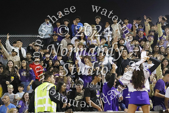 MON_fans_20