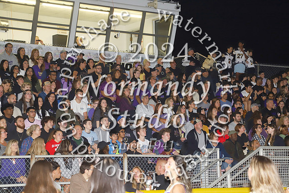 MON_fans_29