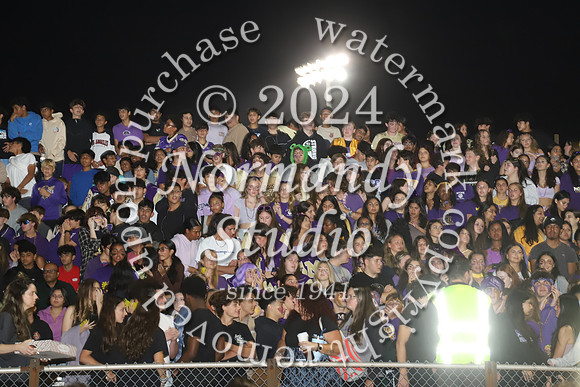 MON_fans_28