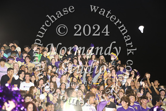 MON_fans_37