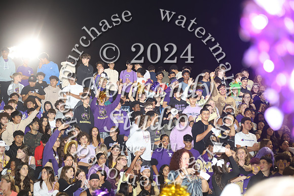 MON_fans_36