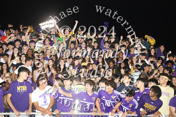 MON_fans_41