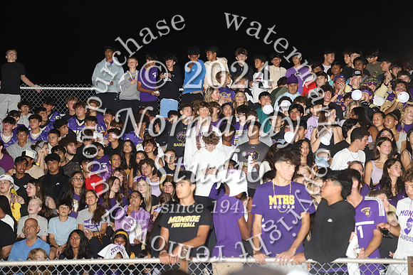 MON_fans_49