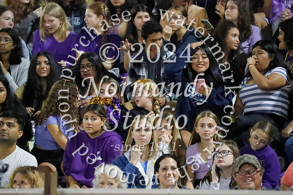 MON_fans_05
