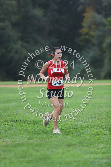MNP_cc-g_03