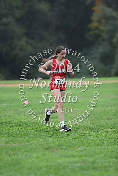MNP_cc-g_11