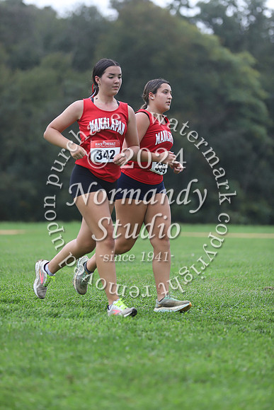 MNP_cc-g_33