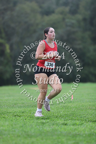 MNP_cc-g_46