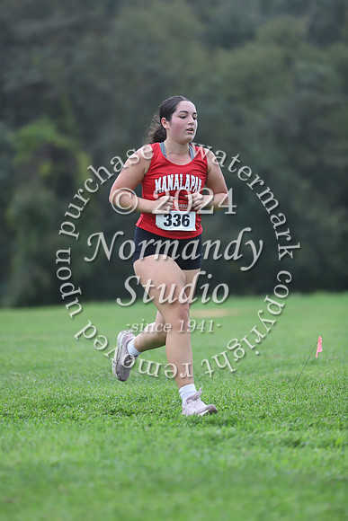 MNP_cc-g_45