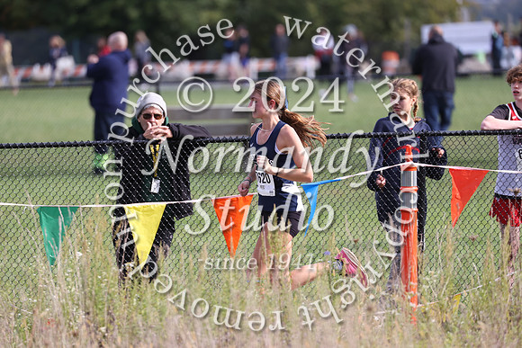WMC_cc-g_20