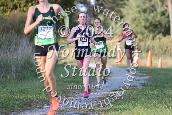 WMC_cc-g_55