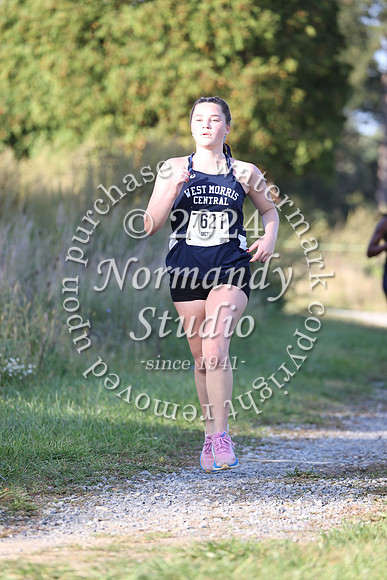WMC_cc-g_73