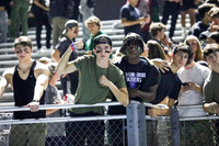 SPF_fans_03