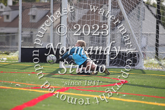 SVL_so-g-f_29