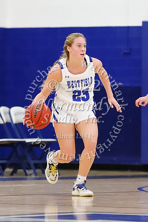 WHS_32_bb-g