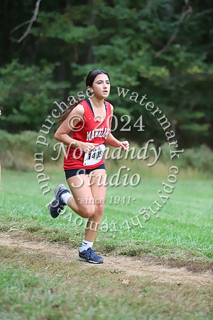 MNP_cc-g_45