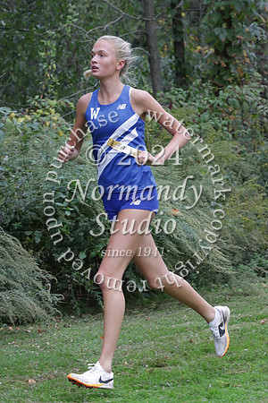 WHS_cc-g_17