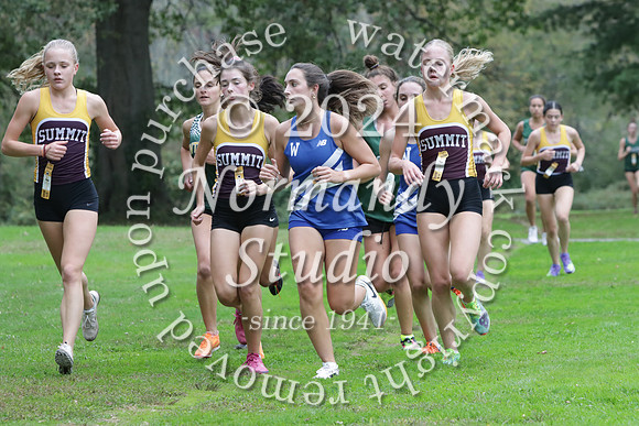 WHS_cc-g_31