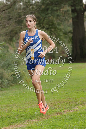 WHS_cc-g_45