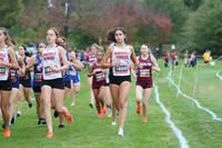 SVL_cc-g_09