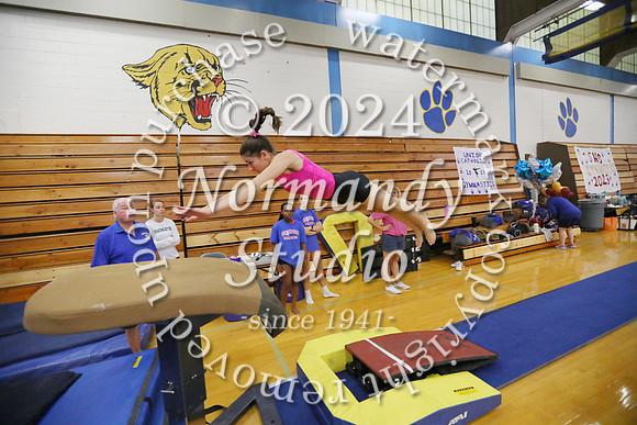 CHS_gy-g_08