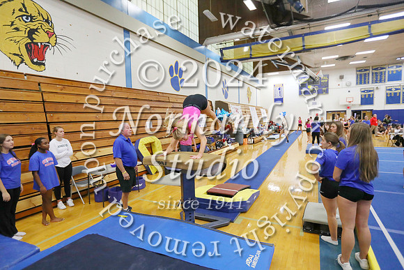 CHS_gy-g_29