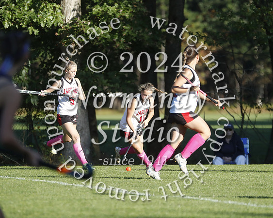 JAC_fh_38