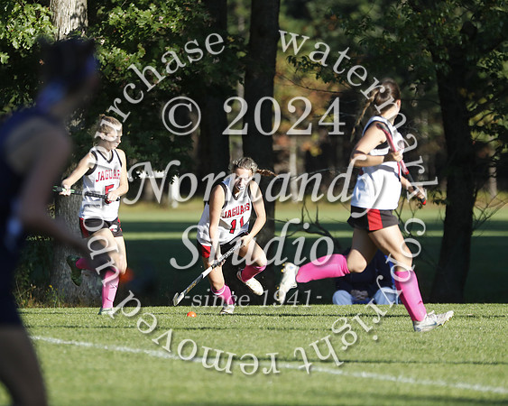JAC_fh_40