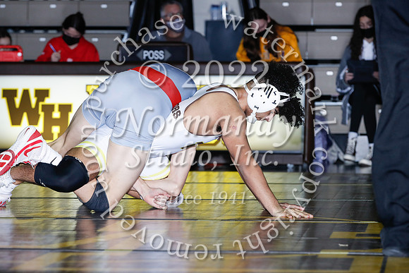 WTG_42_wr