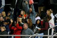BER_fans_05