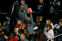 BER_fans_08