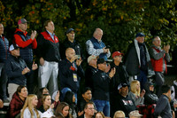 BER_fans_16